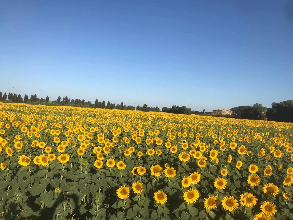 Locanda Le Mandriane Albinia Dış mekan fotoğraf