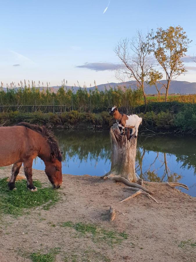 Locanda Le Mandriane Albinia Dış mekan fotoğraf