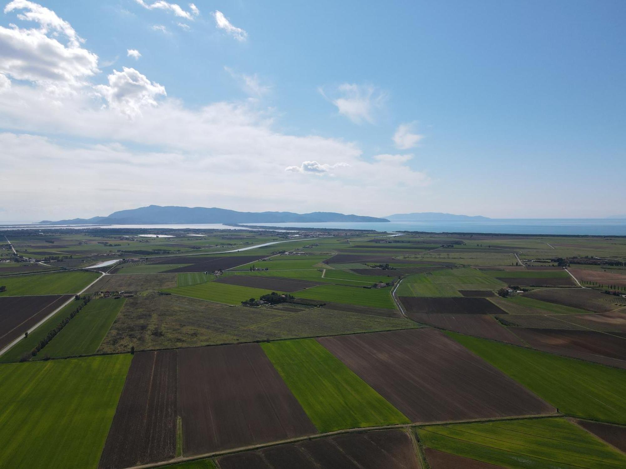 Locanda Le Mandriane Albinia Dış mekan fotoğraf